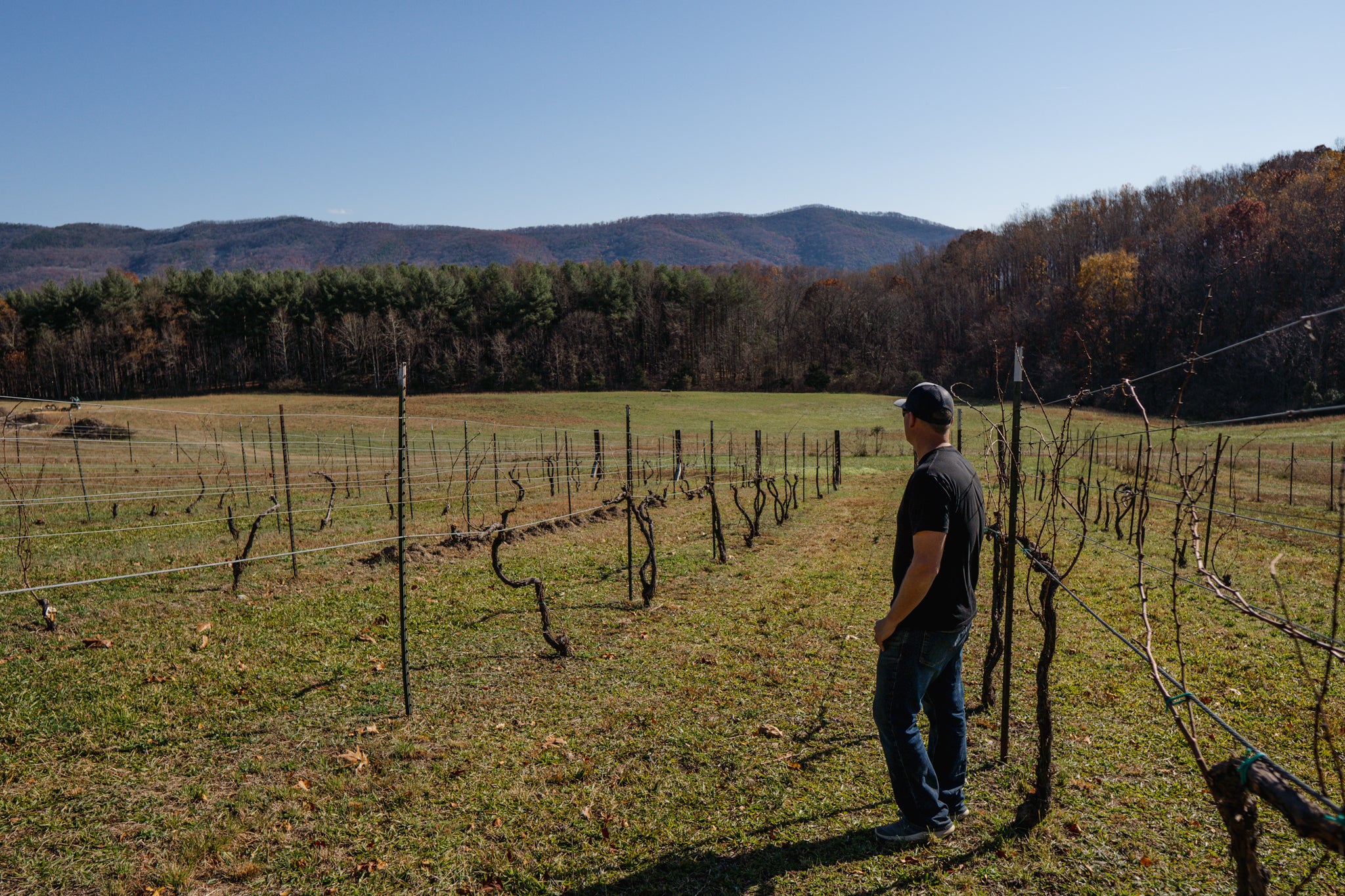 The Spirit of Italy Comes to Stay in Virginia at Ecco Adesso Vineyards Farm Credit of the